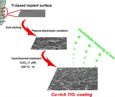 Titanium surfaces with biomimetic topography and copper incorporation to modulate behaviors of stem cells and oral bacteria